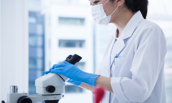 Best Pharmacy Technician Certification Course